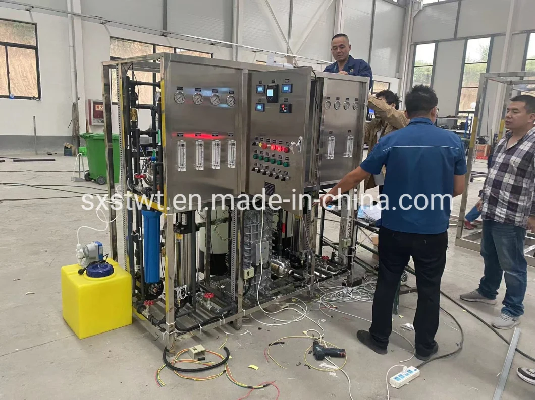 Pharmaceutical Used Deionized Ultra-Pure Water Treatment Plant 500L/H EDI System