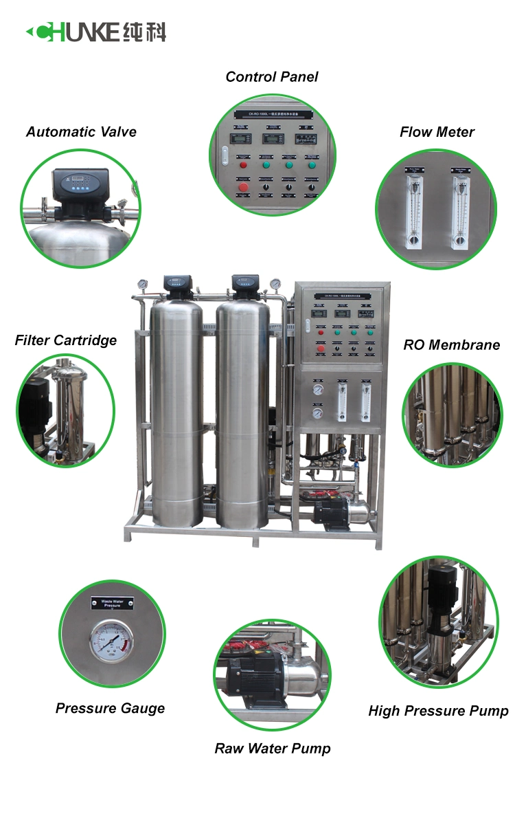 Environmental Protection Reverse Osmosis System Plus Electrodeionization EDI System