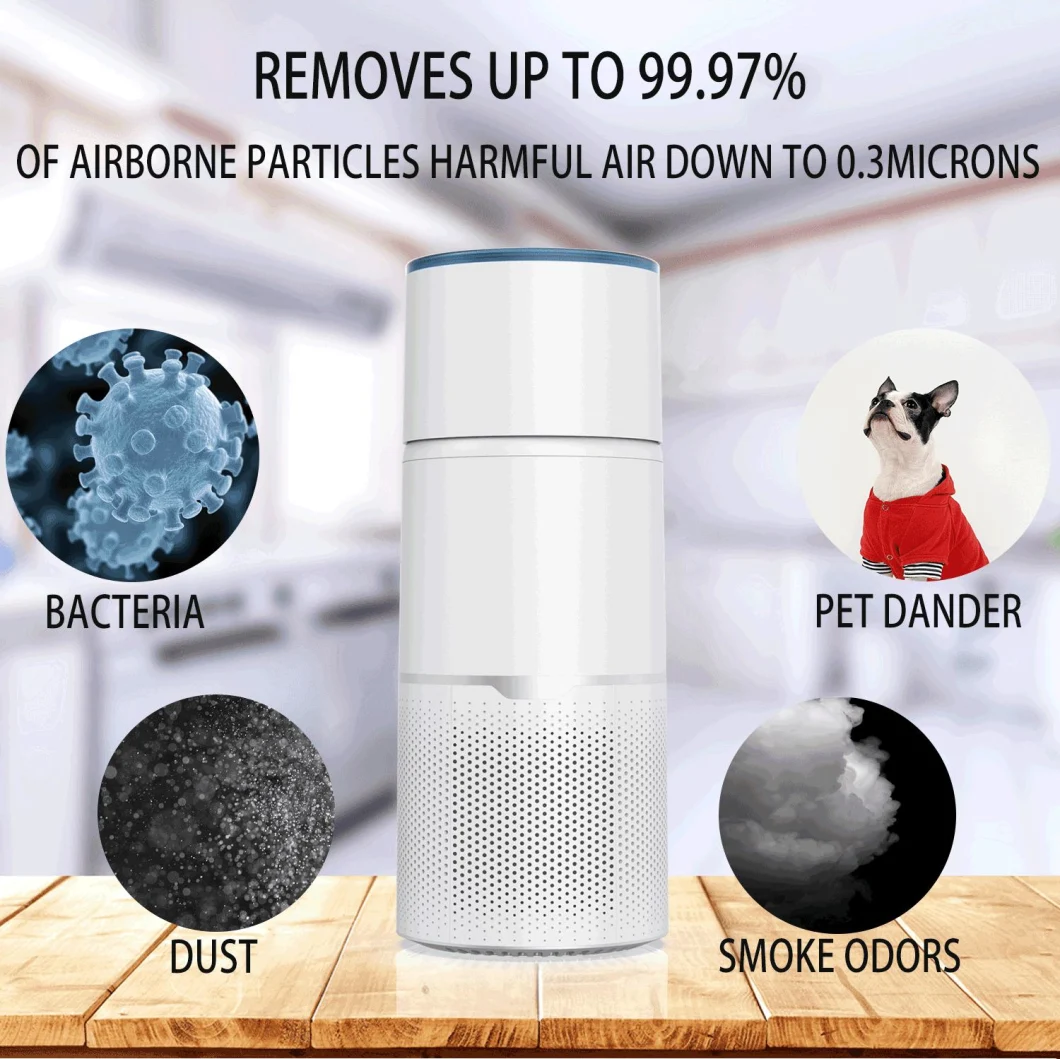 Ultraviolet Disinfection Negative Ions Activated Carbon Filter Humidification Two-in-One UV Vehicle Anion Air Purifier